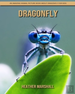 Bertrand.pt - Dragonfly