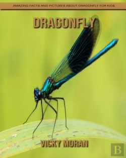 Bertrand.pt - Dragonfly