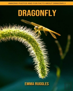 Bertrand.pt - Dragonfly