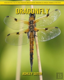 Bertrand.pt - Dragonfly