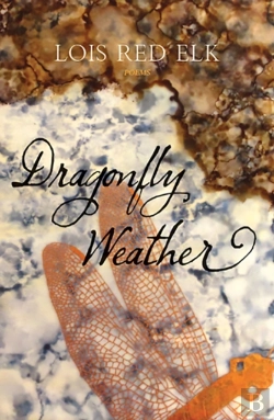 Bertrand.pt - Dragonfly Weather