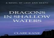 Dragons In Shallow Waters