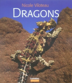 Bertrand.pt - Dragons