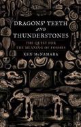 Dragonsâ€™ Teeth And Thunderstones