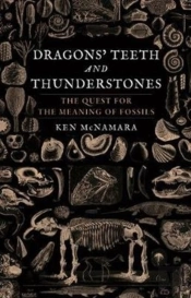 Dragonsâ€™ Teeth And Thunderstones
