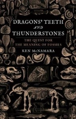 Bertrand.pt - Dragonsâ€™ Teeth And Thunderstones