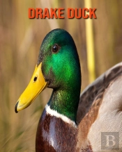Drake Duck