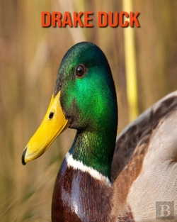 Bertrand.pt - Drake Duck