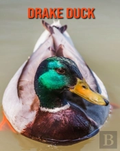 Drake Duck