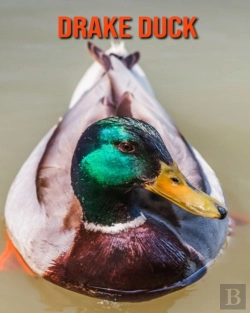 Bertrand.pt - Drake Duck