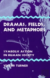 Dramas, Fields, And Metaphors