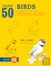 Draw 50 Birds