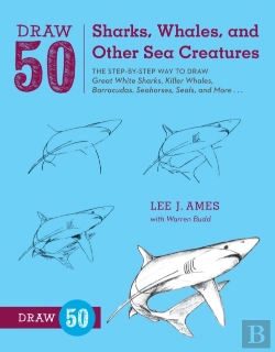 Bertrand.pt - Draw 50 Sharks, Whales, And Other Sea Creatures
