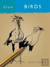 Draw Birds