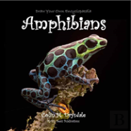 Draw Your Own Encyclopaedia Amphibians