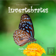 Draw Your Own Encyclopaedia Invertebrates