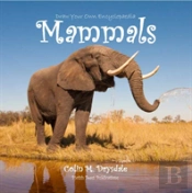 Draw Your Own Encyclopaedia Mammals