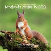 Draw Your Own Encyclopaedia Scotland'S Native Wildlife