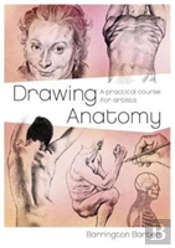 Drawing Anatomy