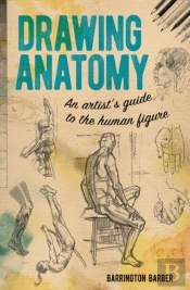 Drawing Anatomy