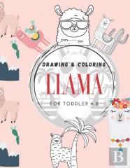 Drawing And Coloring Llama For Toddler 4-8