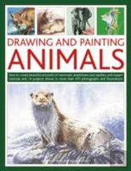 Drawing And Painting Animals