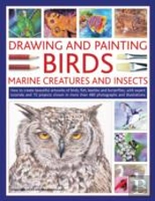 Drawing And Painting Birds, Marine Creatures And Insects