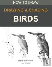 Drawing And Shading Birds: How To Draw