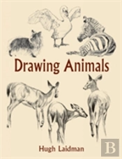 Drawing Animals