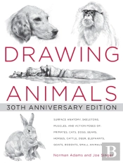 Drawing Animals