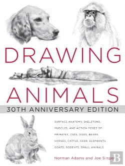 Bertrand.pt - Drawing Animals