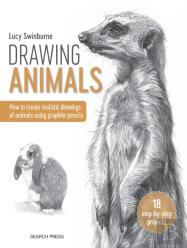 Drawing Animals