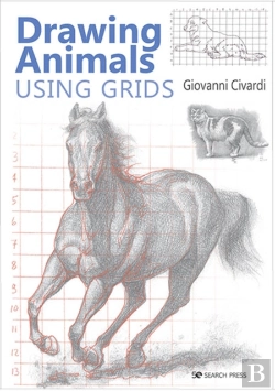 Bertrand.pt - Drawing Animals Using Grids