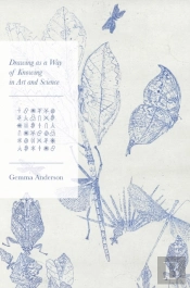 Drawing As A Way Of Knowing In Art And Science