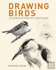 Drawing Birds