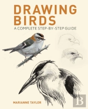 Drawing Birds
