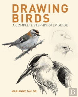 Bertrand.pt - Drawing Birds