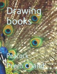 Drawing Books