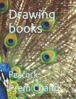 Bertrand.pt - Drawing Books