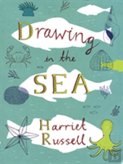 Bertrand.pt - Drawing In The Sea