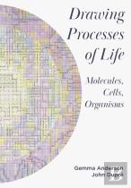 Drawing Processes Of Life
