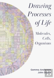 Drawing Processes Of Life