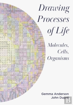 Bertrand.pt - Drawing Processes Of Life