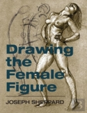 Drawing The Female Figure