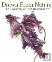 Drawn From Nature