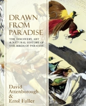 Drawn From Paradise