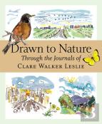 Drawn To Nature