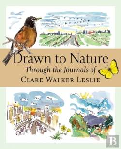 Bertrand.pt - Drawn To Nature