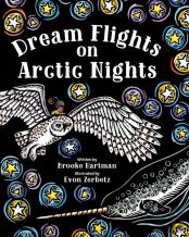 Dream Flights On Arctic Nights