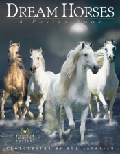Dream Horses Poster Book